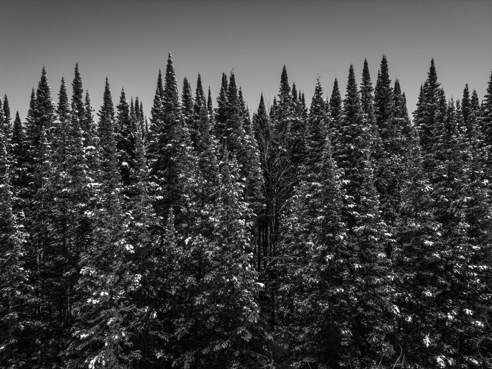 Otsego Resort Gaylord Exteriör bild